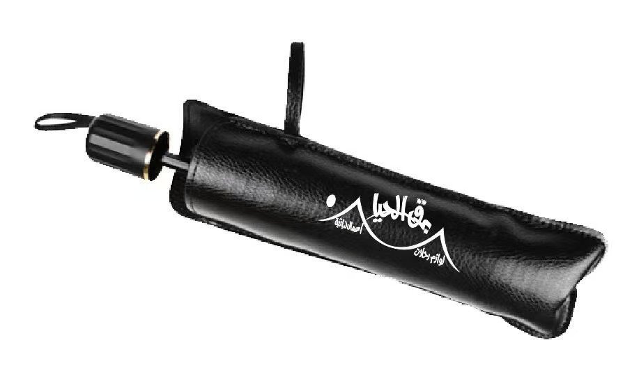 Car umbrella BQ-FMIUB23