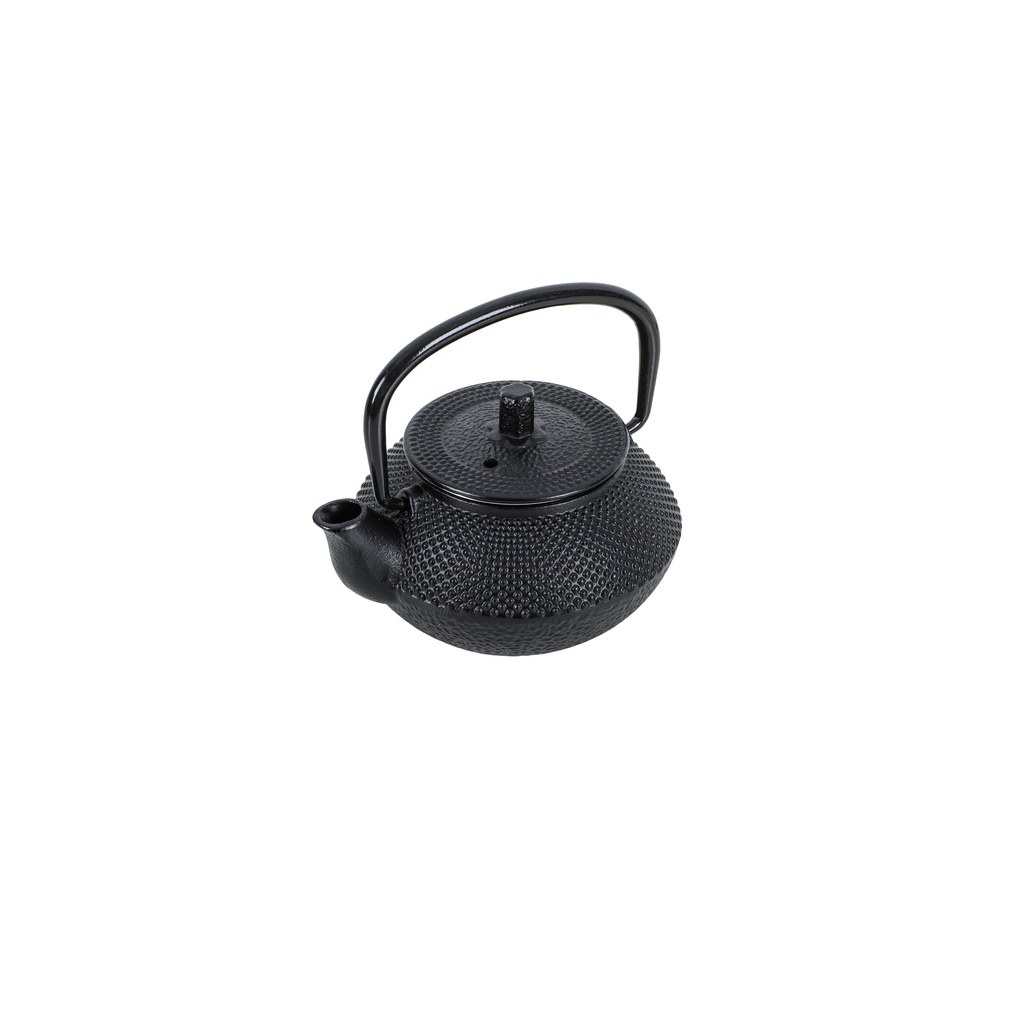 Japanese cast iron teapot 300ml
