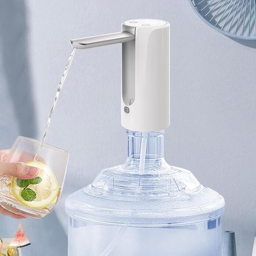 [AP228] Al-Ghafa, water pump with screen